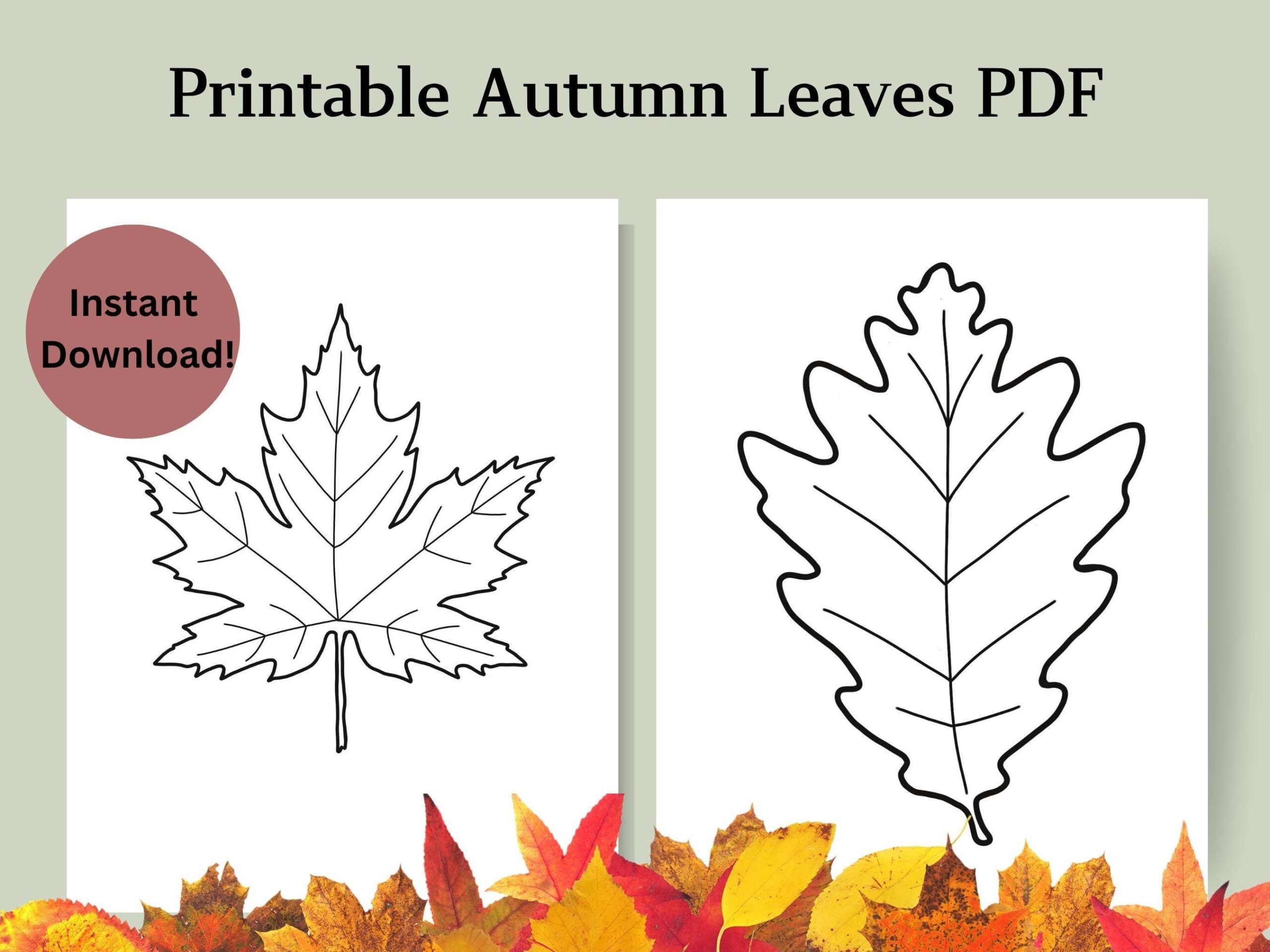 fall leaves template printable