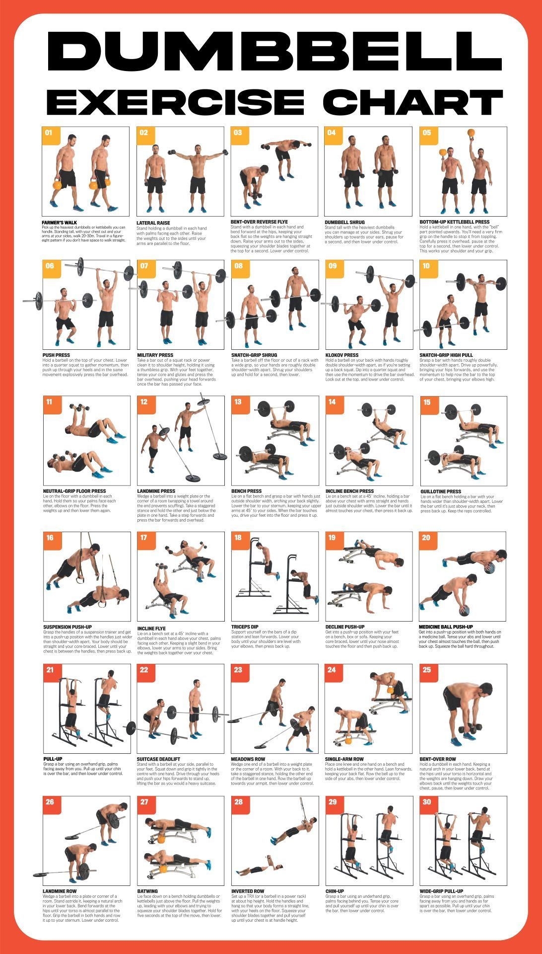 Printable Dumbbell Only Full Body Workout Full Body Dumbbell Workout Pdf Upper Body Dumbbell Only Workout