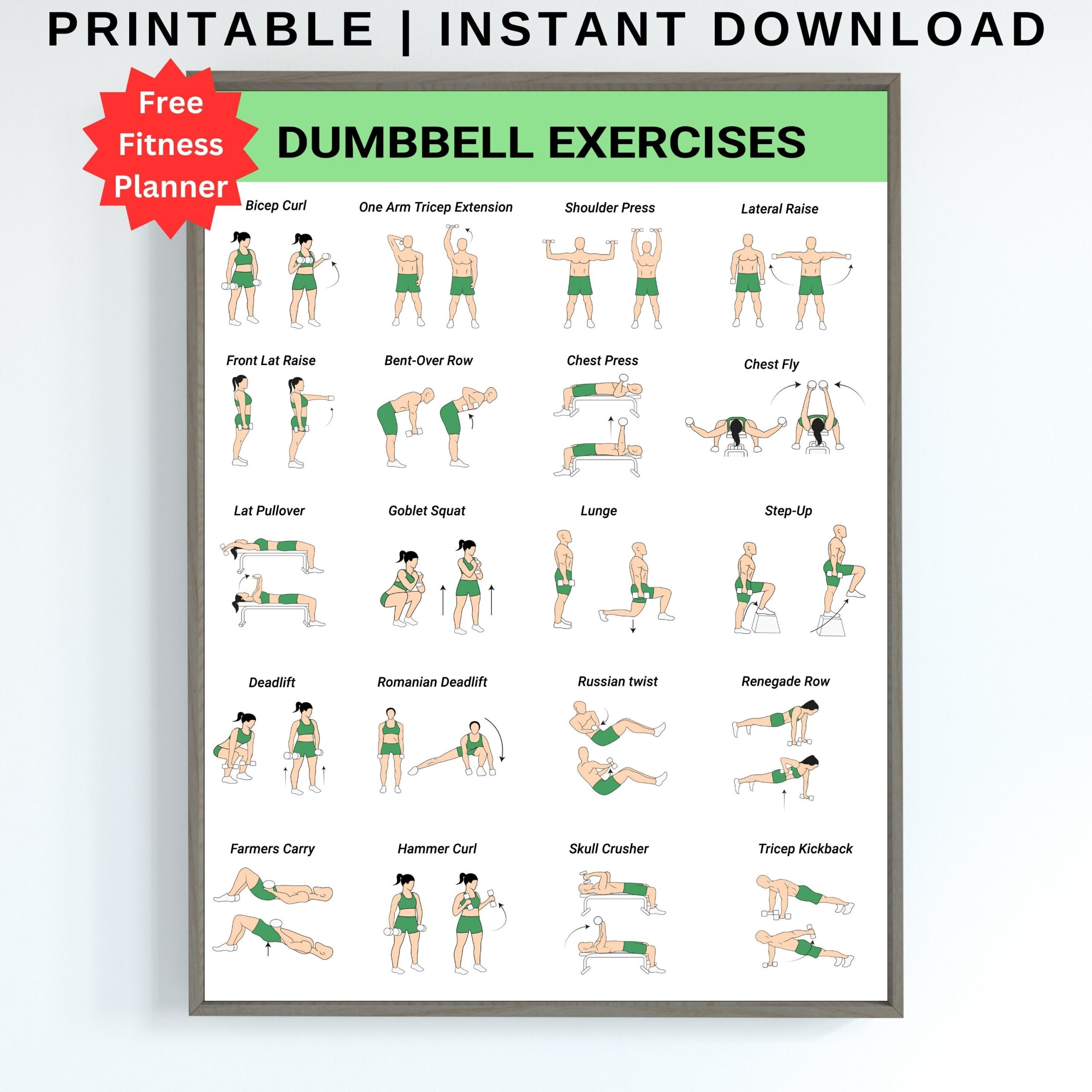 pdf printable free dumbbell workout chart