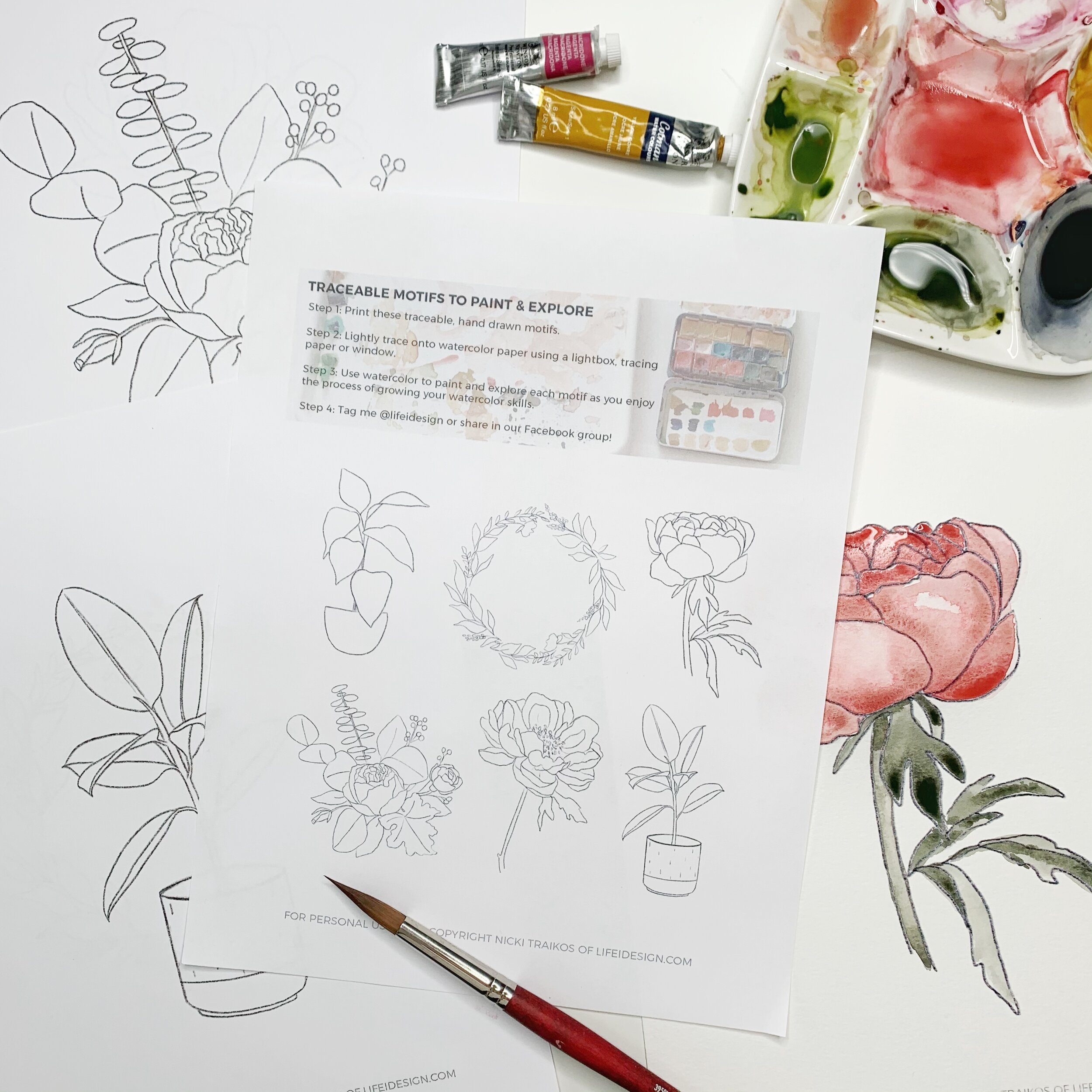 Printable Watercolor Tracing Sheets Nicki Traikos Life I Design 