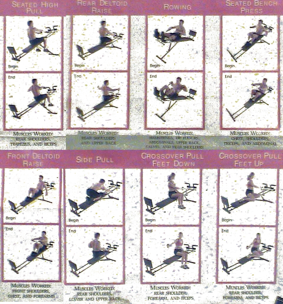 Printable Weider Pro Weider Ultimate Body Works Workout Guide Exercise Chart Pdf Weider Ultimate Body Work