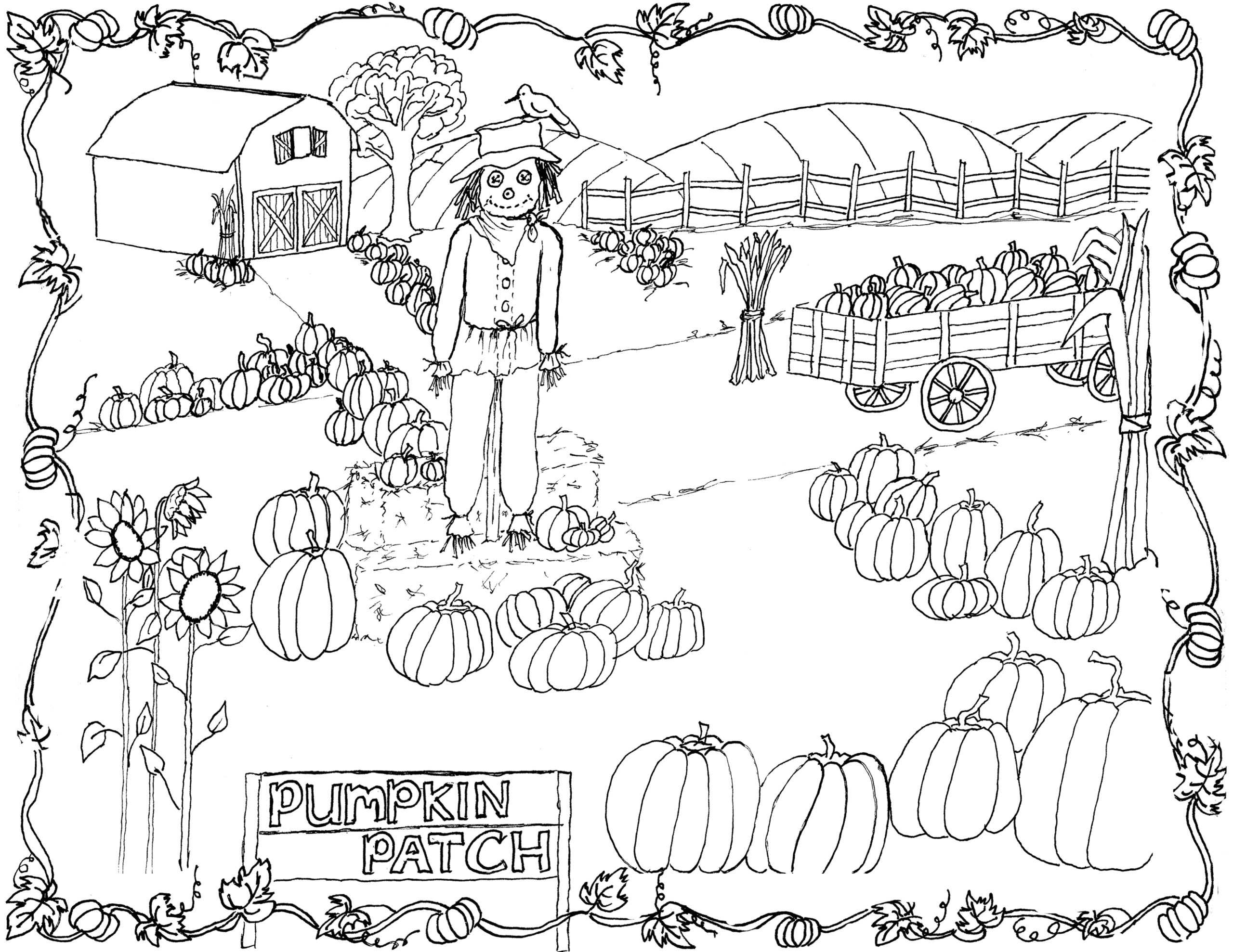 pumpkin patch colouring pages