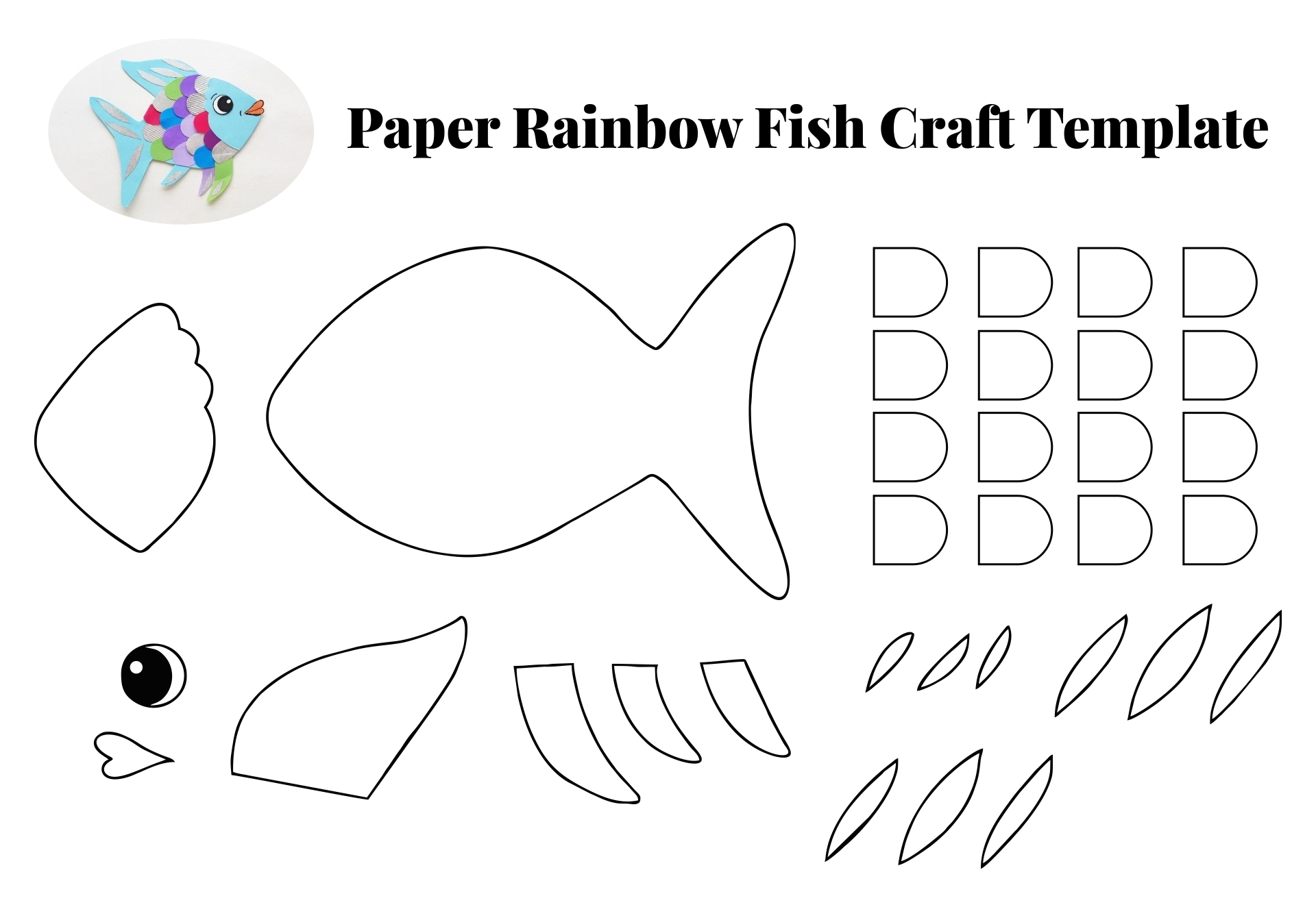 rainbow fish template to colour