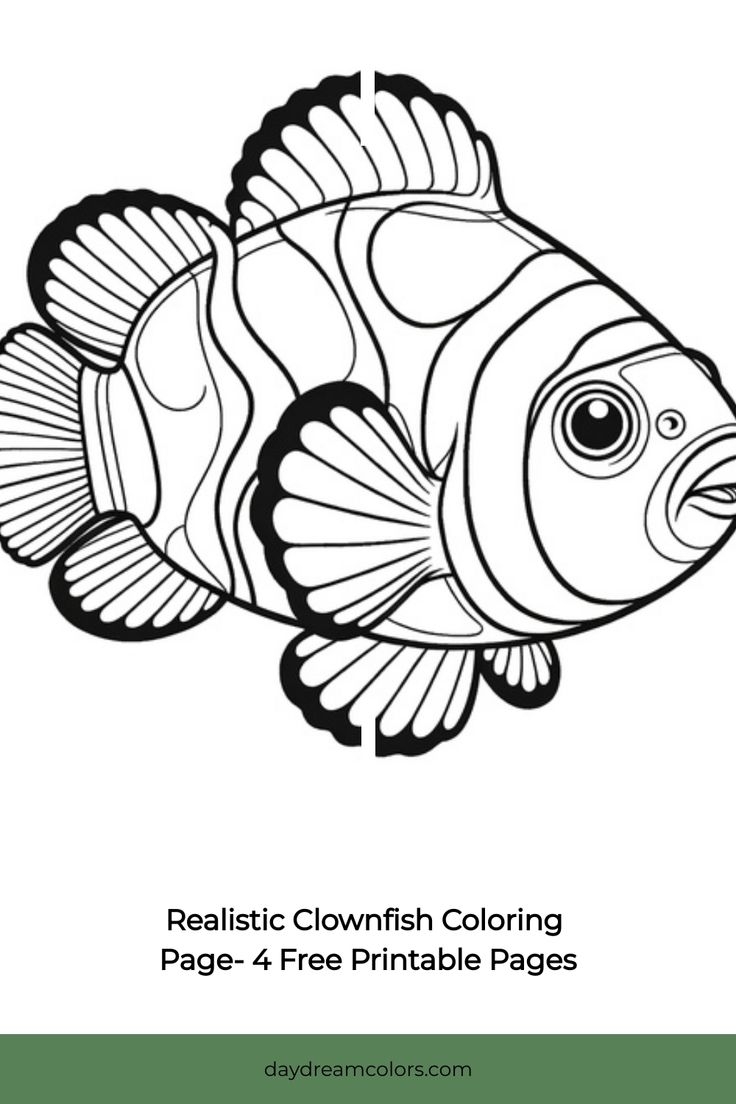 printable fish coloring pages
