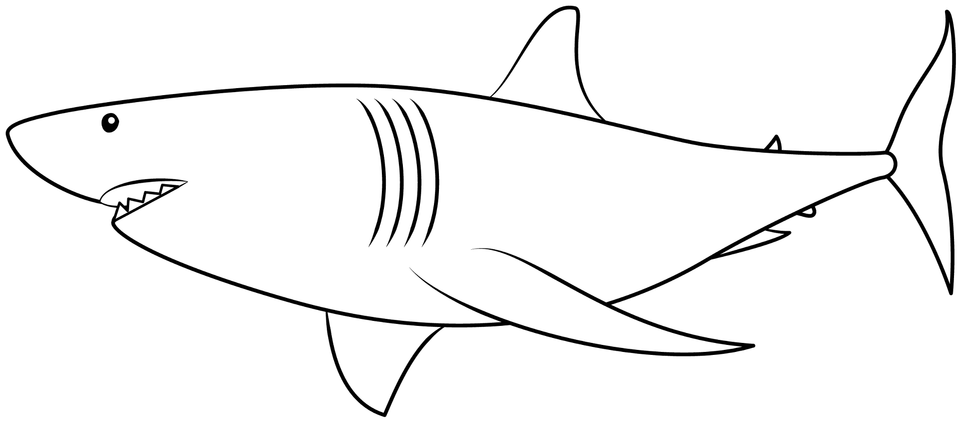 shark template printable