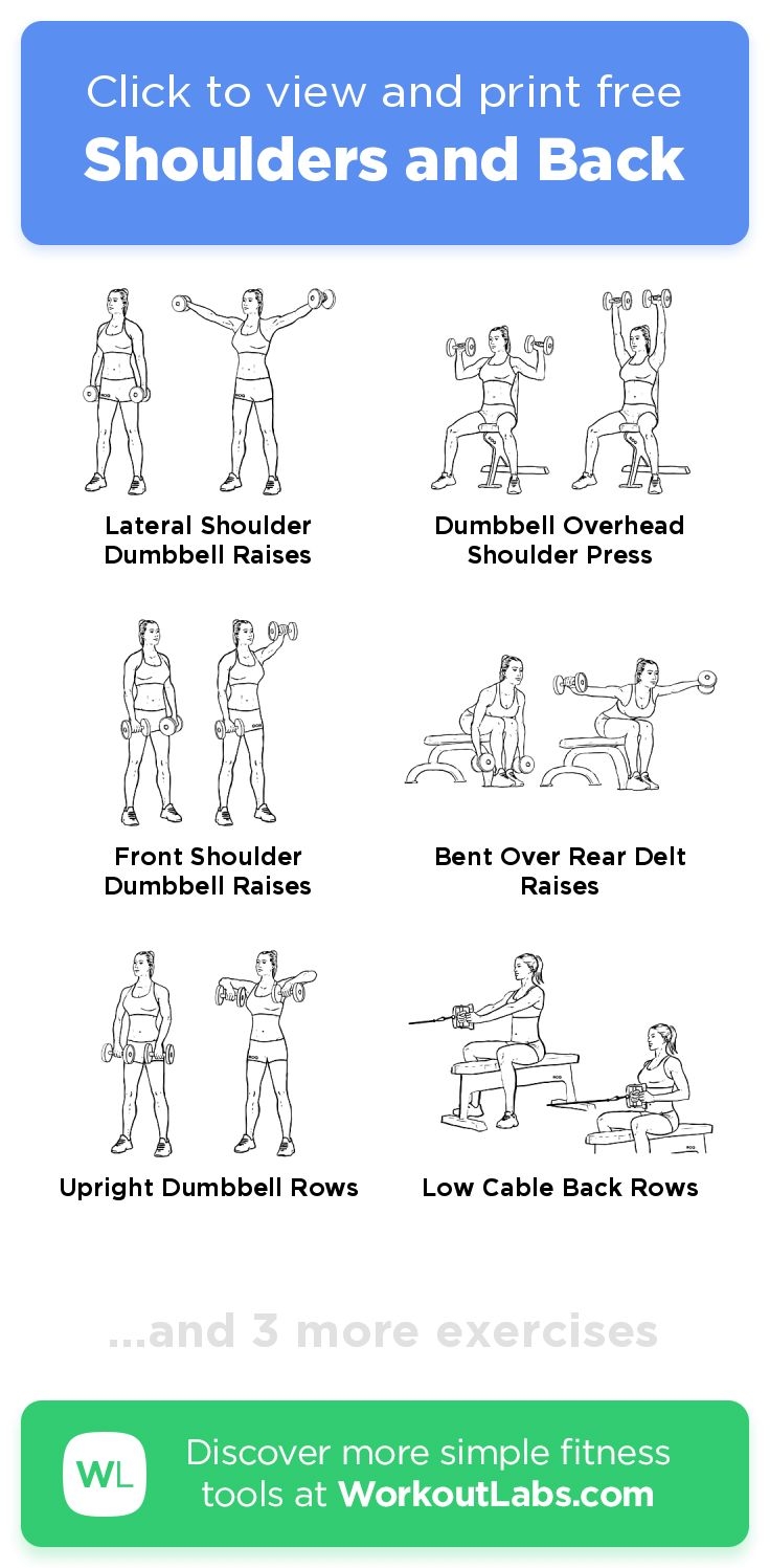 Shoulders And Back Free Workout By WorkoutLabs Fit