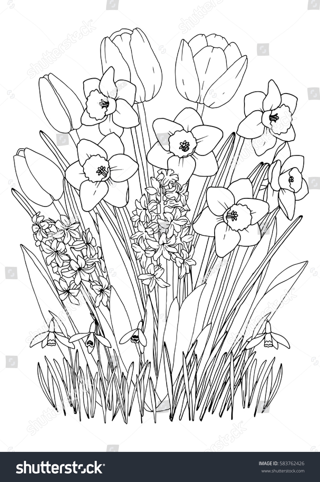 Spring Garden Flowers Coloring Page Daffodils Stock Vector Royalty Free 583762426 Shutterstock