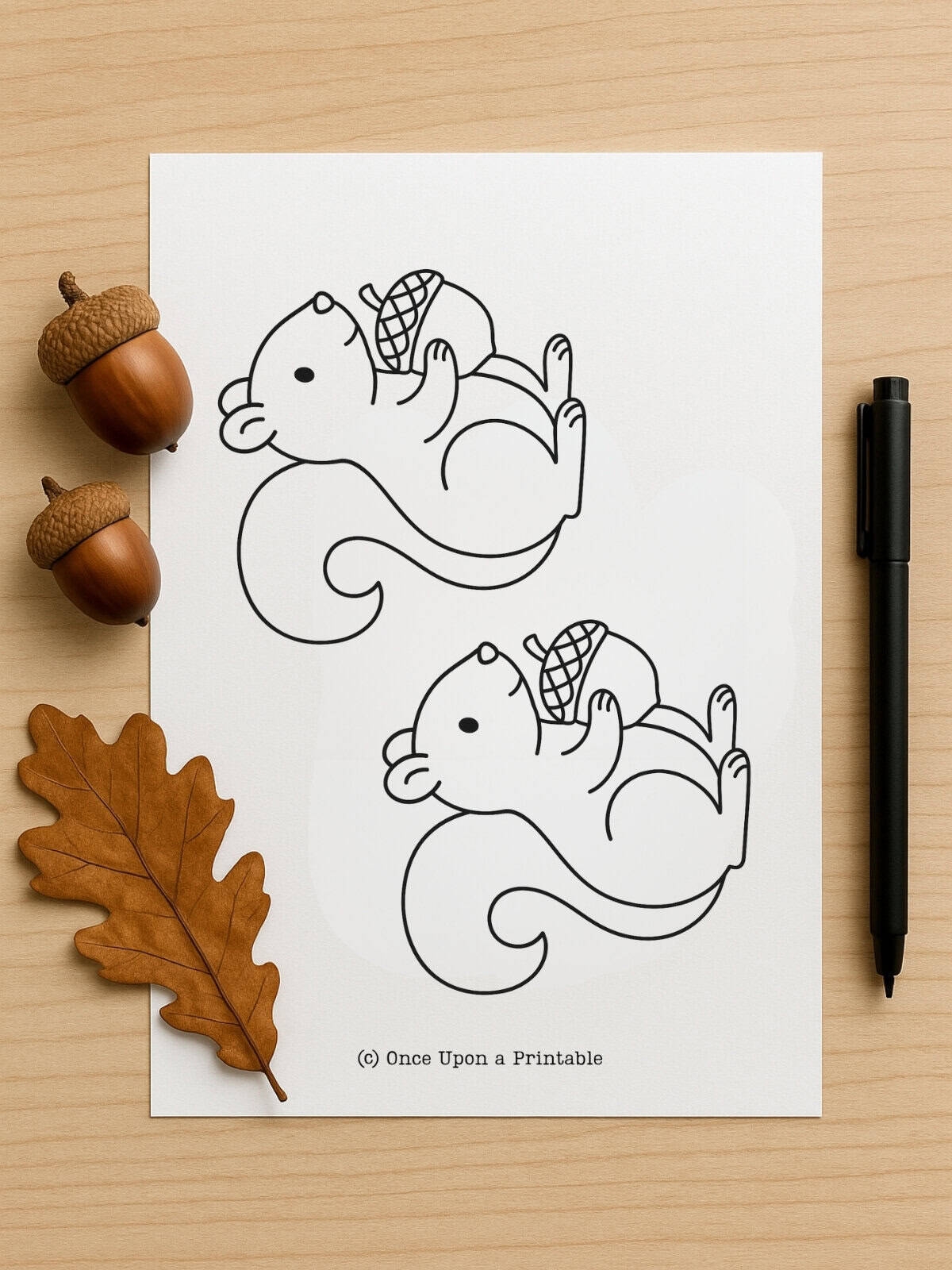 squirrel template printable