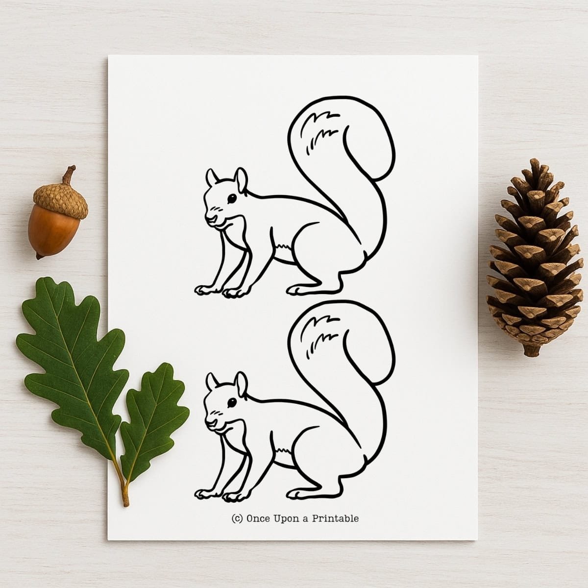 Squirrel Templates Free Printables Once Upon A Printable