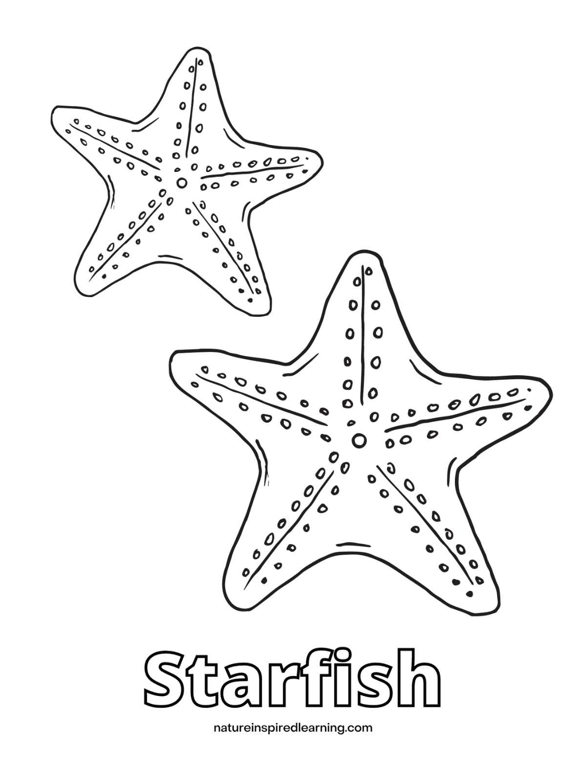 Starfish Coloring Pages Nature Inspired Learning