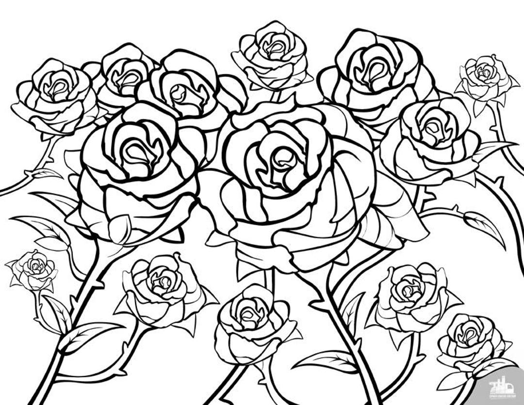 coloring sheets of roses