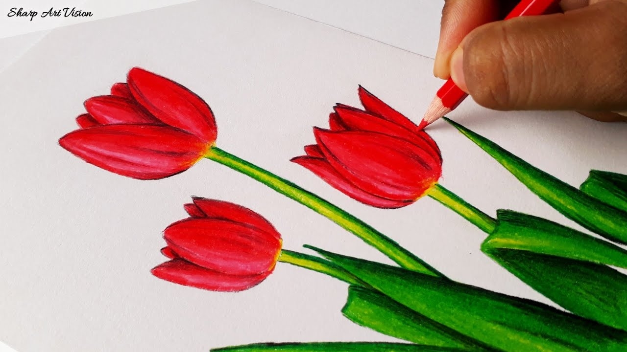 Tulip Flower Drawing Pencil Colour Drawing Of Tulip Flower Step By Step Flower Drawing Easy YouTube