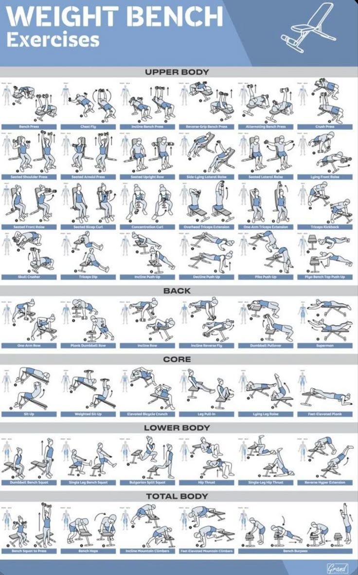 printable weider exercise chart pdf
